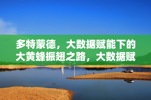 多特蒙德，大数据赋能下的大黄蜂振翅之路，大数据赋能，多特蒙德大黄蜂的振翅之路