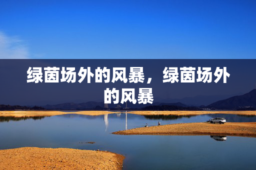 绿茵场外的风暴,绿茵场外的风暴