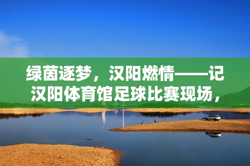 绿茵逐梦，汉阳燃情——记汉阳体育馆足球比赛现场，绿茵逐梦，汉阳燃情——汉阳体育馆足球比赛现场
