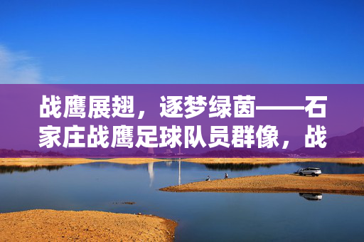 战鹰展翅，逐梦绿茵——石家庄战鹰足球队员群像，战鹰展翅逐梦绿茵，石家庄足球队员群像