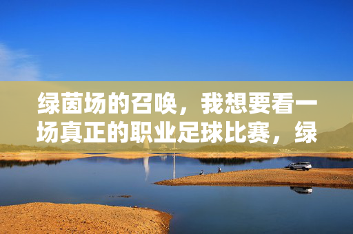 绿茵场的召唤，我想要看一场真正的职业足球比赛，绿茵场召唤，真正的职业足球之约