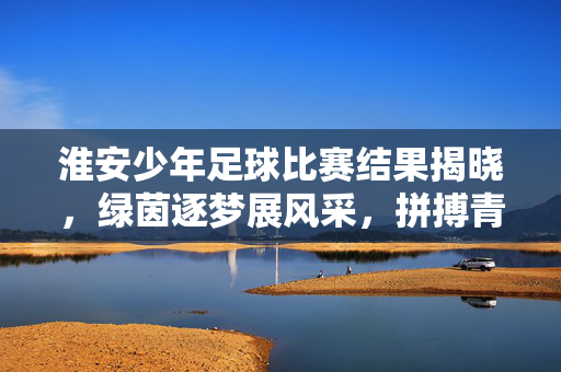 淮安少年足球比赛结果揭晓，绿茵逐梦展风采，拼搏青春耀淮安，淮安少年足球赛落幕，逐梦拼搏耀青春