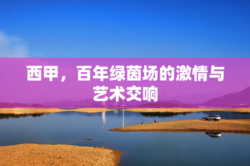 西甲，百年绿茵场的激情与艺术交响