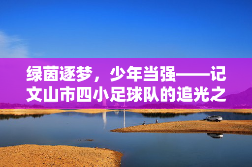 绿茵逐梦，少年当强——记文山市四小足球队的追光之旅，少年逐梦绿茵，追光当强
