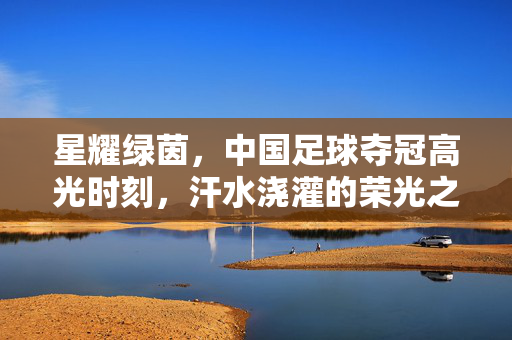 星耀绿茵，中国足球夺冠高光时刻，汗水浇灌的荣光之路，星耀绿茵，中国足球夺冠的荣光之路