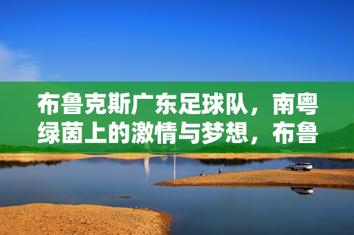 布鲁克斯广东足球队，南粤绿茵上的激情与梦想，布鲁克斯广东足球队，南粤绿茵上的激情与梦想