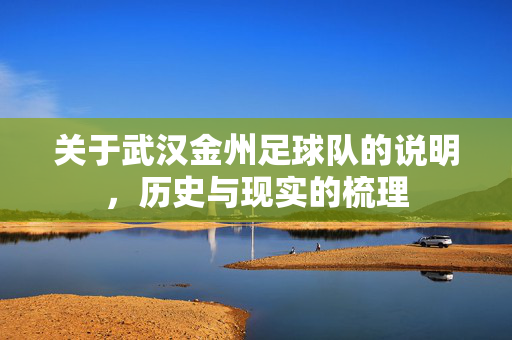 关于武汉金州足球队的说明,历史与现实的梳理