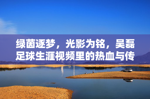 绿茵逐梦，光影为铭，吴磊足球生涯视频里的热血与传承，吴磊足球生涯，绿茵逐梦，热血传承