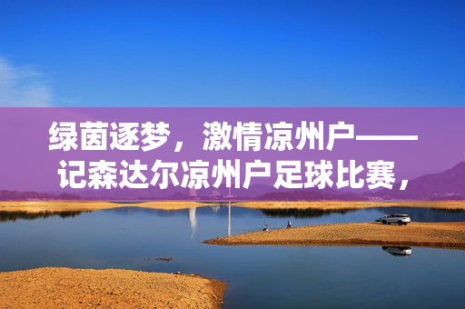 绿茵逐梦，激情凉州户——记森达尔凉州户足球比赛，逐梦绿茵，激情凉州户