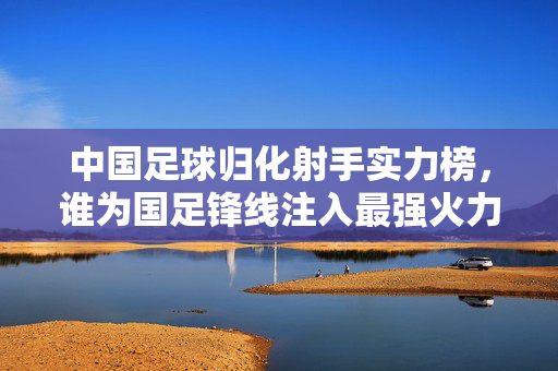中国足球归化射手实力榜,谁为国足锋线注入最强火力?国足归化射手实力榜,谁为锋线注入最强火力?