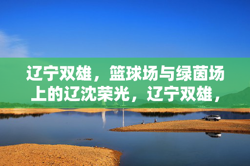 辽宁双雄，篮球场与绿茵场上的辽沈荣光，辽宁双雄，篮球绿茵场上的辽沈荣光