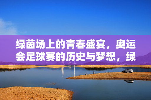 绿茵场上的青春盛宴,奥运会足球赛的历史与梦想,绿茵逐梦,奥运会足球赛的历史青春宴