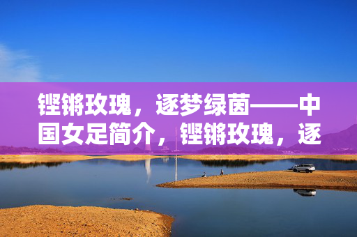 铿锵玫瑰，逐梦绿茵——中国女足简介，铿锵玫瑰，逐梦绿茵——中国女足