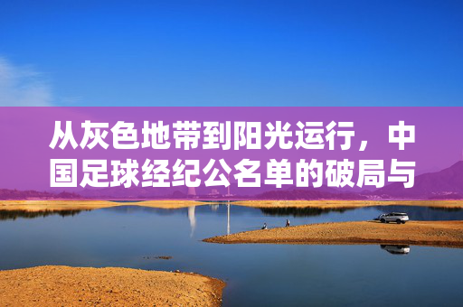 从灰色地带到阳光运行，中国足球经纪公名单的破局与未来之路，从灰色到阳光，中国足球经纪公名单的破局与未来