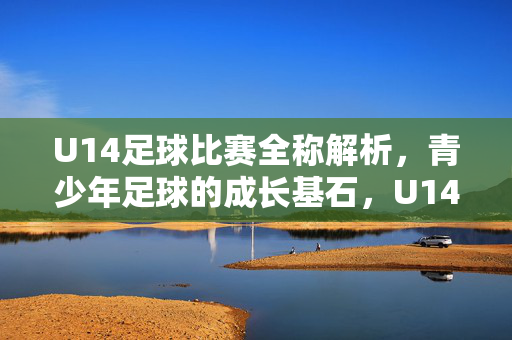 U14足球比赛全称解析，青少年足球的成长基石，U14足球比赛全称解析，青少年足球的成长基石