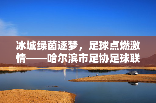 冰城绿茵逐梦，足球点燃激情——哈尔滨市足协足球联赛燃情启幕，冰城燃情逐梦，足球联赛启幕