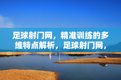 足球射门网，精准训练的多维特点解析，足球射门网，精准训练的多维特点解析