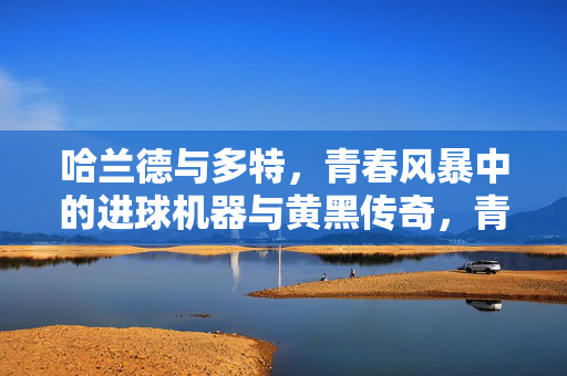 哈兰德与多特，青春风暴中的进球机器与黄黑传奇，青春风暴中的黄黑传奇，哈兰德与多特的进球机器