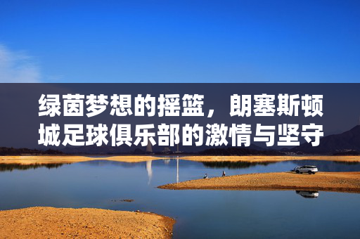 绿茵梦想的摇篮，朗塞斯顿城足球俱乐部的激情与坚守，绿茵摇篮，朗塞斯顿城的激情与坚守