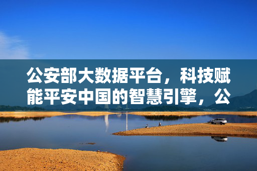 公安部大数据平台，科技赋能平安中国的智慧引擎，公安部大数据平台，科技赋能平安中国的智慧引擎