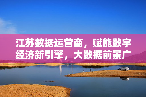 江苏数据运营商，赋能数字经济新引擎，大数据前景广阔，江苏数据运营商，赋能数字经济新引擎，大数据前景广阔