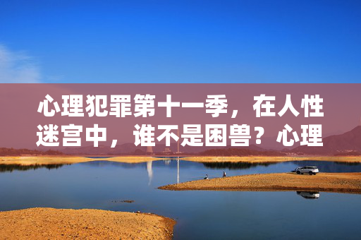 心理犯罪第十一季，在人性迷宫中，谁不是困兽？心理犯罪，人性迷宫，谁不是困兽？