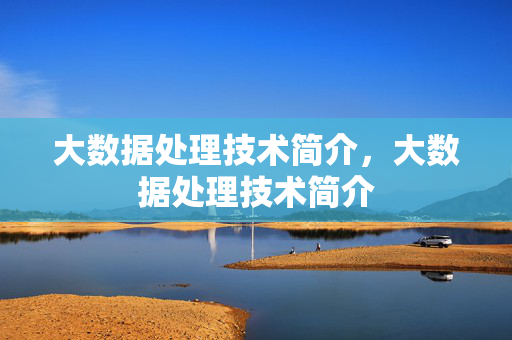 大数据处理技术简介，大数据处理技术简介