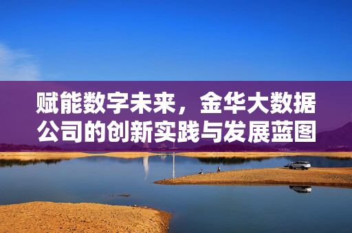 赋能数字未来，金华大数据公司的创新实践与发展蓝图，赋能数字未来，金华大数据公司的创新实践与发展蓝图