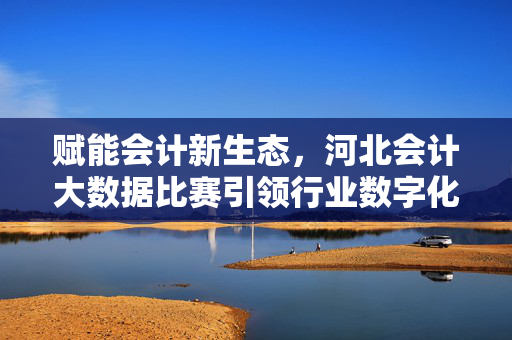 赋能会计新生态，河北会计大数据比赛引领行业数字化转型浪潮，河北会计大数据比赛赋能会计新生态 引领行业数字化转型