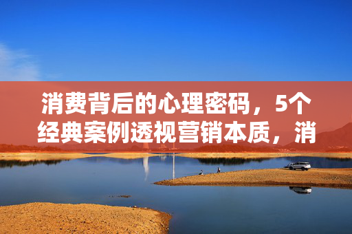 消费背后的心理密码,5个经典案例透视营销本质,消费心理密码,5个经典案例透视营销本质