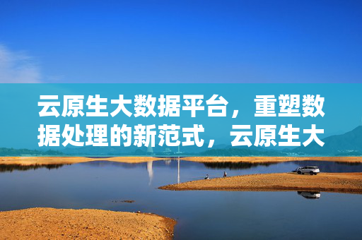 云原生大数据平台，重塑数据处理的新范式，云原生大数据平台，重塑数据处理新范式