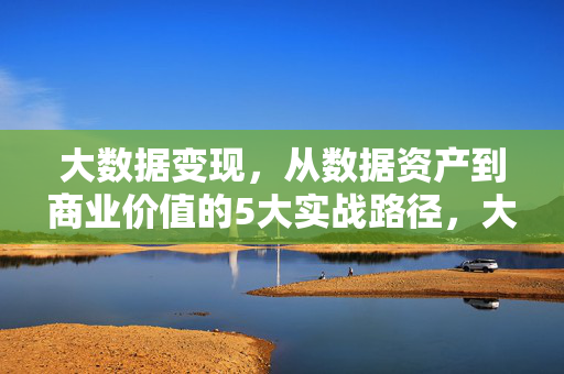 大数据变现，从数据资产到商业价值的5大实战路径，大数据变现，从数据资产到商业价值的5大实战路径