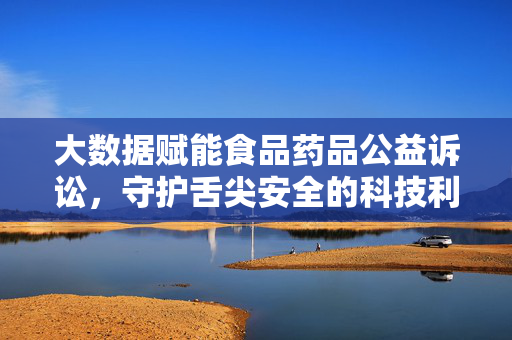 大数据赋能食品药品公益诉讼，守护舌尖安全的科技利剑，大数据赋能食品药品公益诉讼，舌尖安全的科技利剑