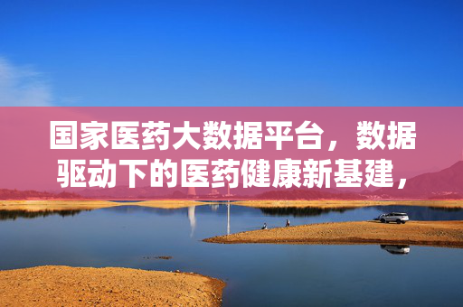 国家医药大数据平台，数据驱动下的医药健康新基建，国家医药大数据平台，数据驱动的医药健康新基建