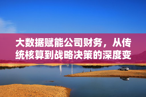 大数据赋能公司财务，从传统核算到战略决策的深度变革，大数据赋能财务，从传统核算到战略决策的深度变革