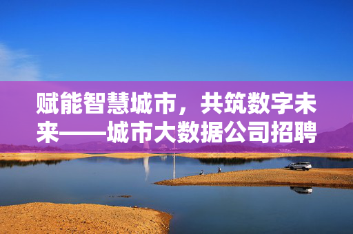 赋能智慧城市，共筑数字未来——城市大数据公司招聘岗位全解析，城市大数据公司招聘岗位全解析，赋能智慧城市，共筑数字未来