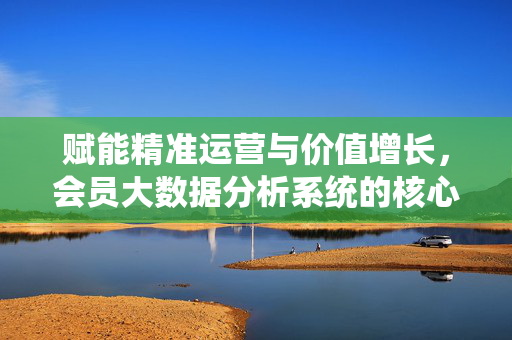 赋能精准运营与价值增长，会员大数据分析系统的核心逻辑与实践路径，会员大数据分析系统，赋能精准运营与价值增长的核心逻辑与实践路径