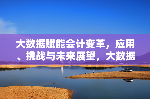 大数据赋能会计变革，应用、挑战与未来展望，大数据赋能会计变革，应用、挑战与展望