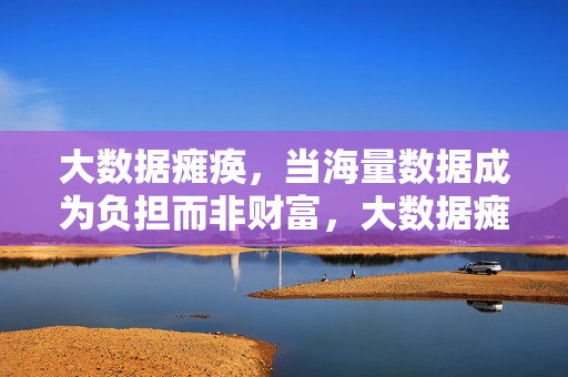 大数据瘫痪，当海量数据成为负担而非财富，大数据瘫痪，海量数据何以从财富变负担？