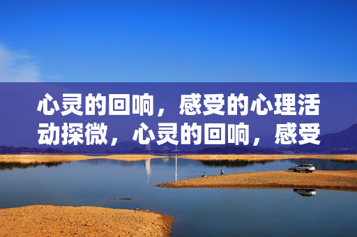 心灵的回响，感受的心理活动探微，心灵的回响，感受的心理探微