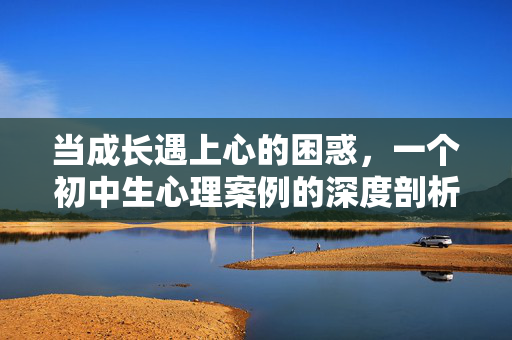 当成长遇上心的困惑，一个初中生心理案例的深度剖析，成长遇上心的困惑，初中生心理案例深度剖析