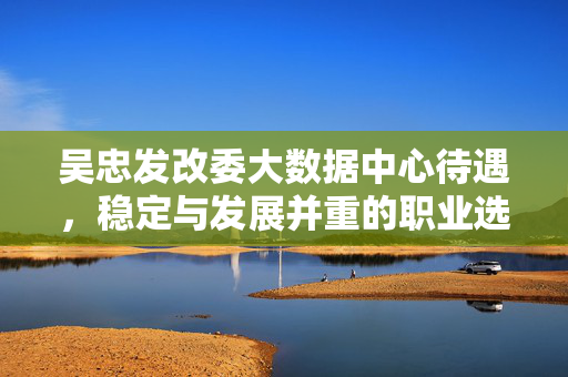 吴忠发改委大数据中心待遇，稳定与发展并重的职业选择，吴忠发改委大数据中心，待遇优厚，稳定与发展并重的职业选择