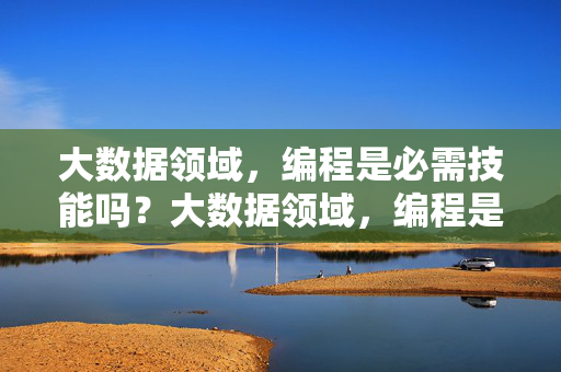 大数据领域，编程是必需技能吗？大数据领域，编程是必需技能吗？