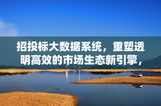 招投标大数据系统，重塑透明高效的市场生态新引擎，招投标大数据系统，重塑透明高效市场生态的新引擎