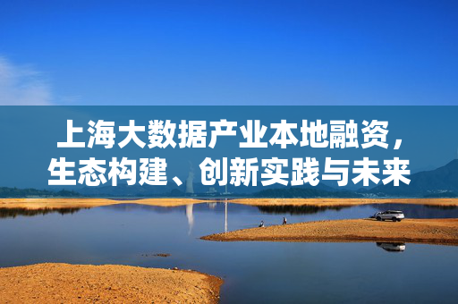 上海大数据产业本地融资，生态构建、创新实践与未来展望，上海大数据产业本地融资，生态构建、创新实践与未来展望