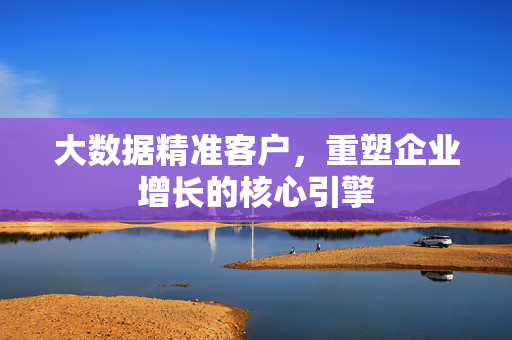 大数据精准客户，重塑企业增长的核心引擎
