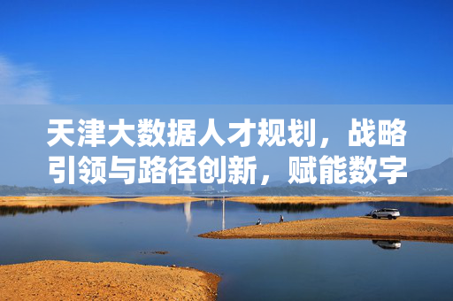 天津大数据人才规划，战略引领与路径创新，赋能数字经济发展，天津大数据人才规划，战略引领与路径创新赋能数字经济发展