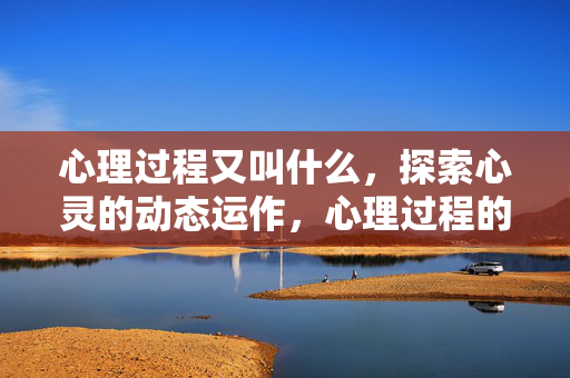 心理过程又叫什么，探索心灵的动态运作，心理过程的别称，探索心灵的动态运作