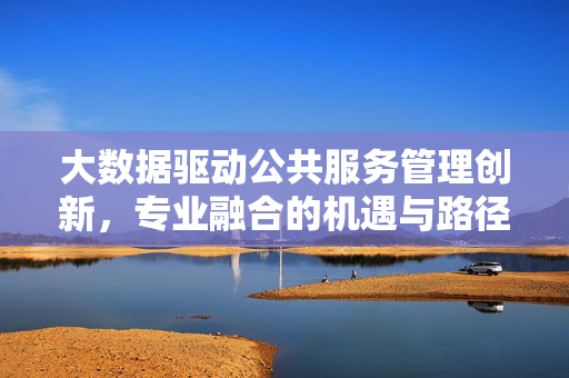 大数据驱动公共服务管理创新，专业融合的机遇与路径，大数据驱动公共服务管理创新，专业融合的机遇与路径