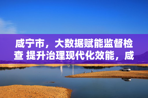 咸宁市，大数据赋能监督检查 提升治理现代化效能，咸宁市大数据赋能监督检查提升治理现代化效能